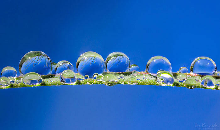 Water Droplet Photos By Don Komarechka