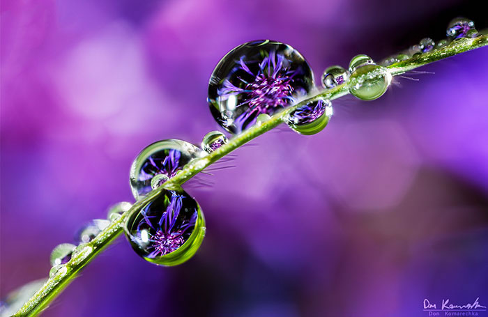 Water Droplet Photos By Don Komarechka