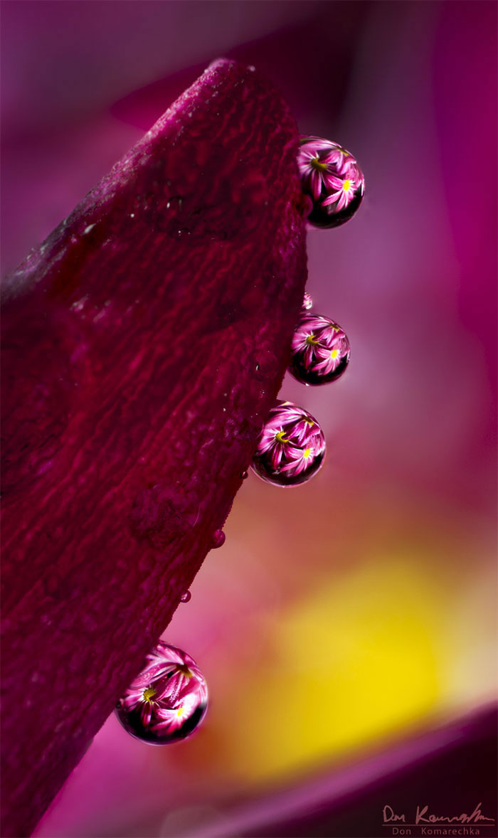 Water Droplet Photos By Don Komarechka