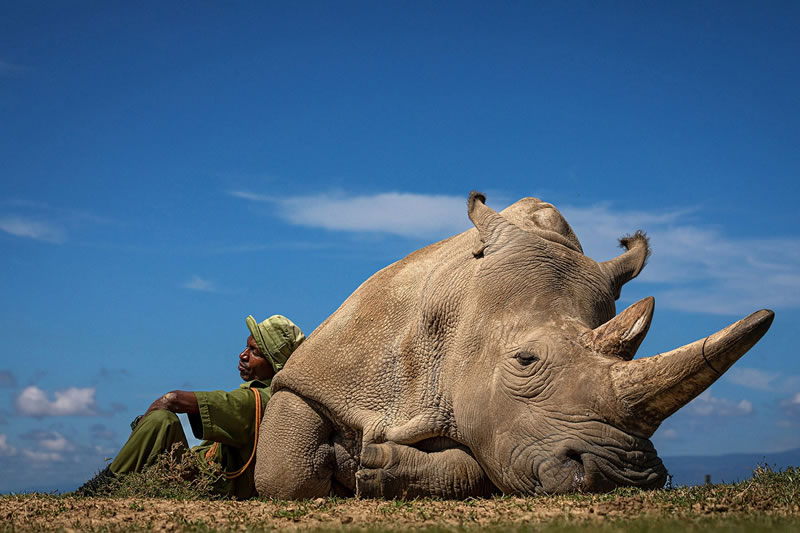 Wildlife reFocus World Photo Annual Awards