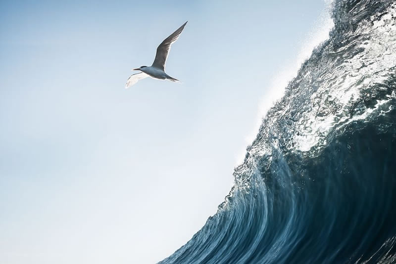 Beautiful Sea Photos Of Australian Coasts By Chris Dixon