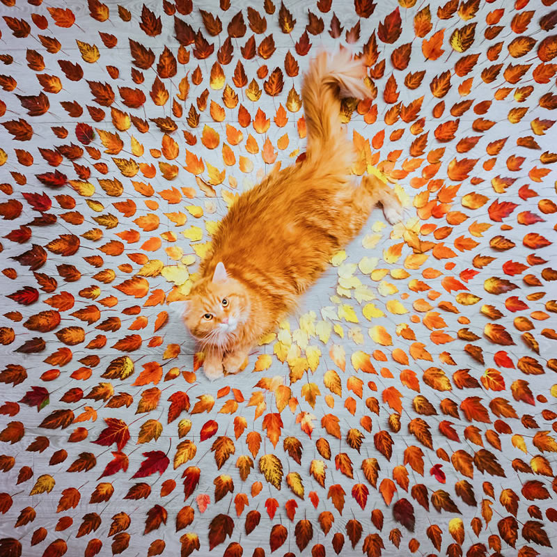 Autumn Around The World By Kristina Makeeva