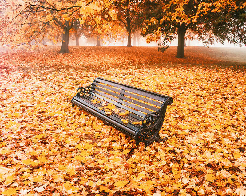 Autumn Around The World By Kristina Makeeva