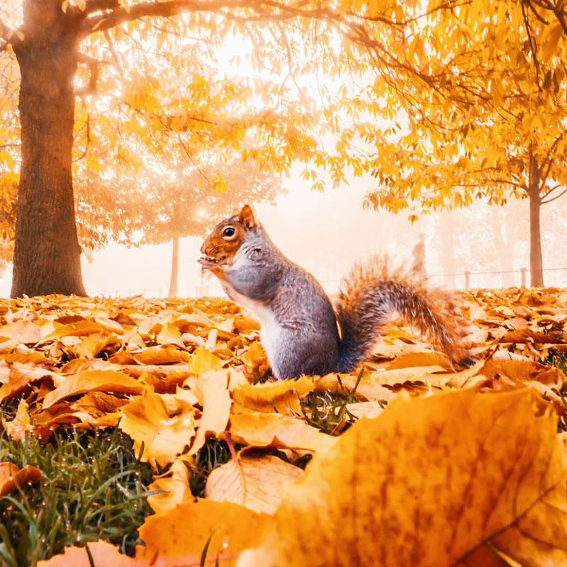 Autumn Around The World By Kristina Makeeva