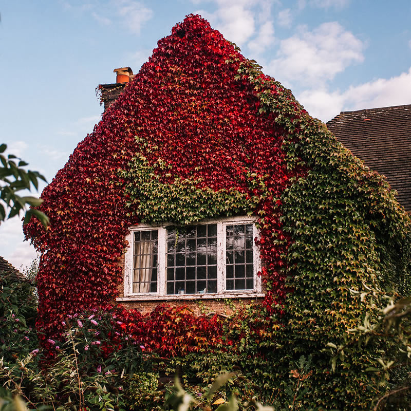 Autumn Around The World By Kristina Makeeva