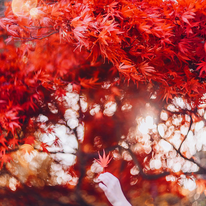 Autumn Around The World By Kristina Makeeva