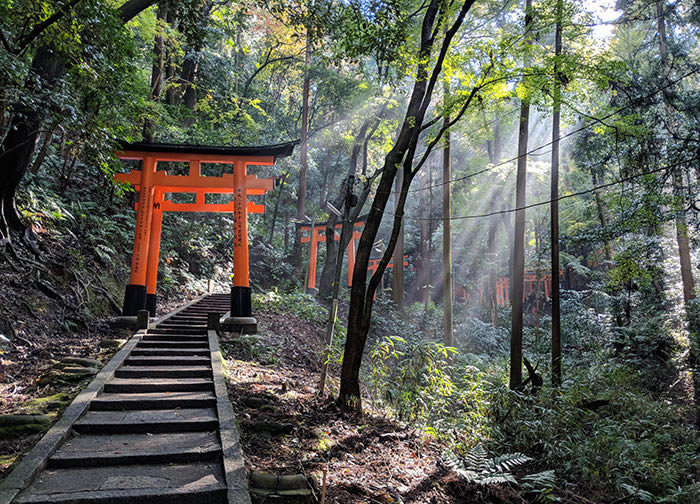 Interesting Photos Of Japan