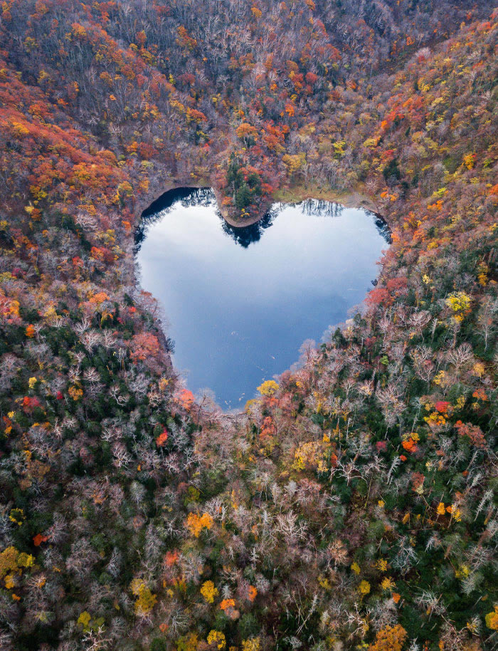 Interesting Photos Of Japan