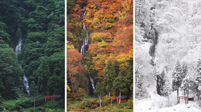 Interesting Photos Of Japan