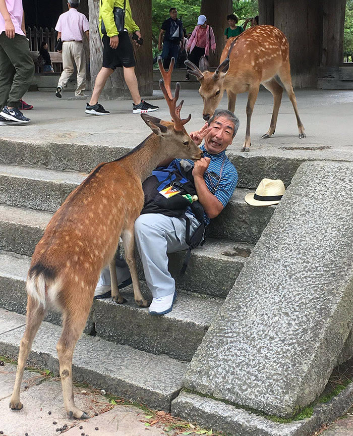 Interesting Photos Of Japan