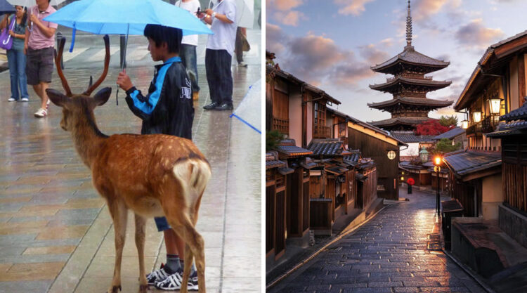 Interesting Photos Of Japan