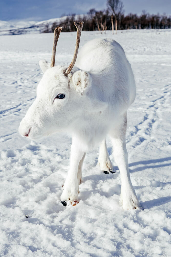 Beautiful Norway Photos