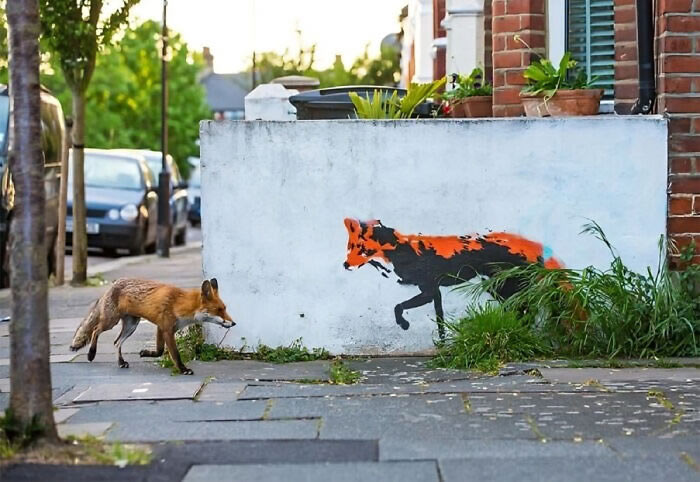 Creative Street Art Vandalism