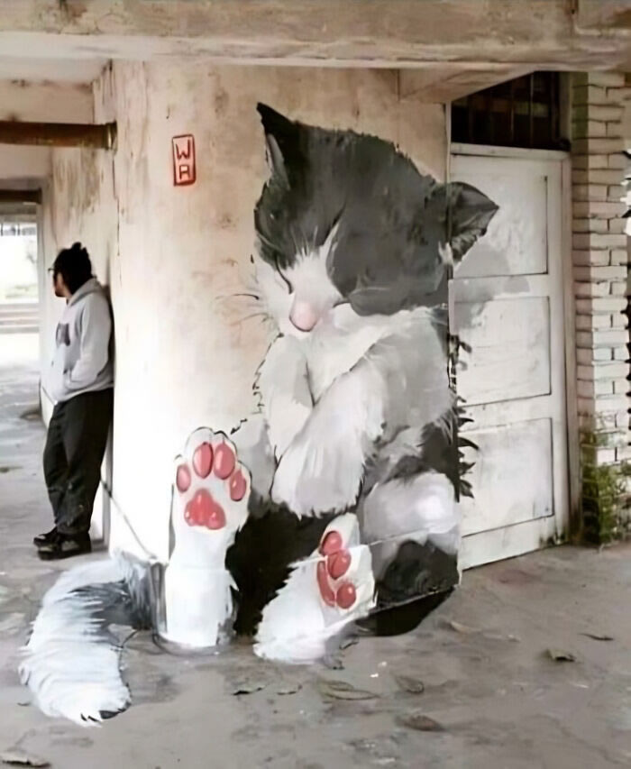 Creative Street Art Vandalism