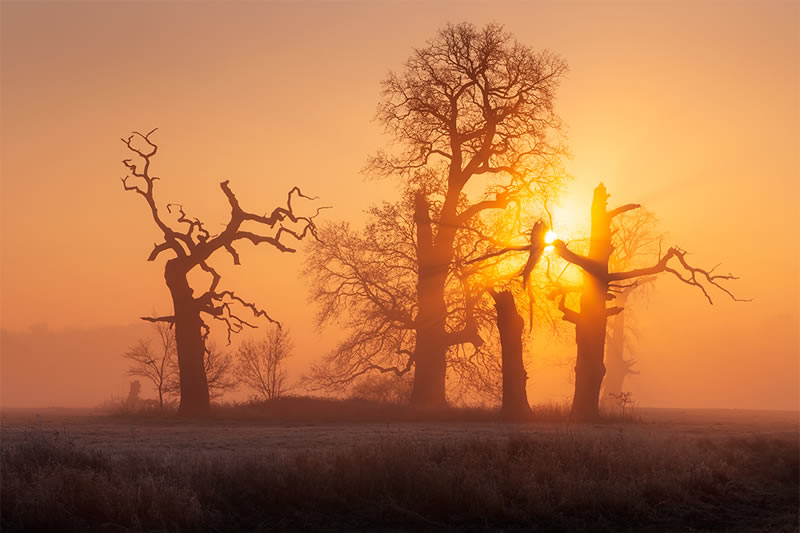 Landscape Fine Art Photography Awards Winners