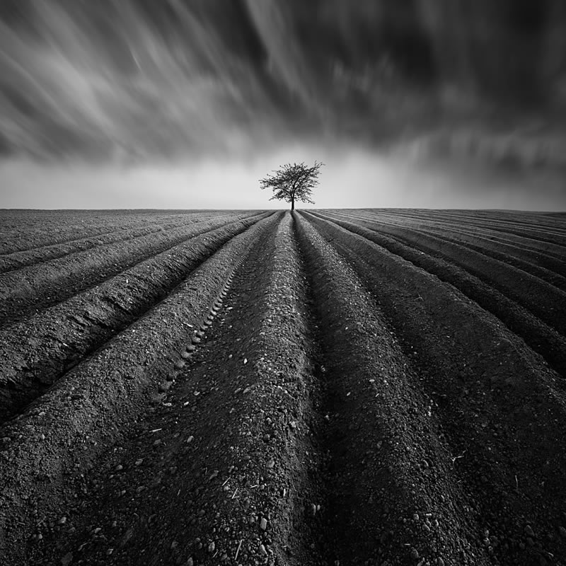 Landscape Fine Art Photography Awards Winners