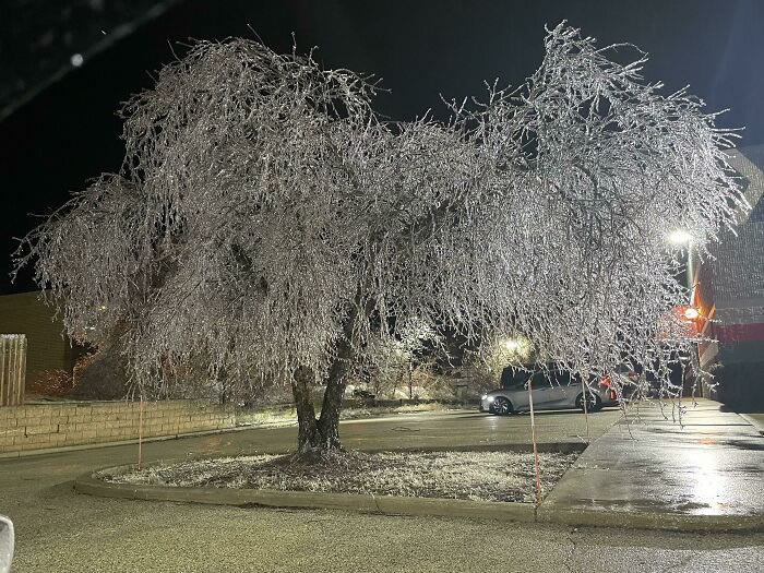 Frozen Beauty of Winter Photos