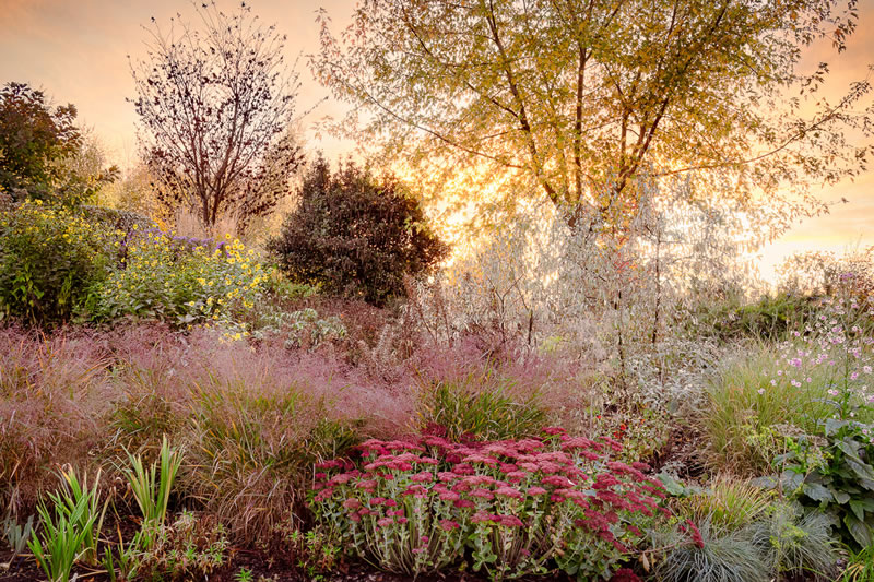 Garden Photographer Of The Year Awards