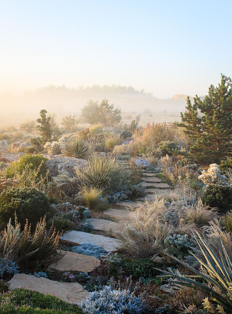 Garden Photographer Of The Year Awards