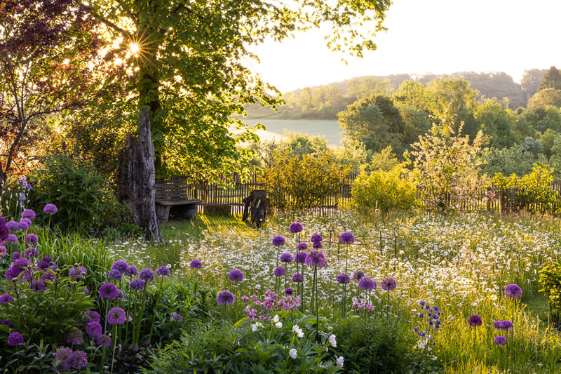 Garden Photographer Of The Year Awards