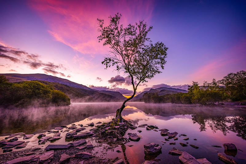 Garden Photographer Of The Year Awards