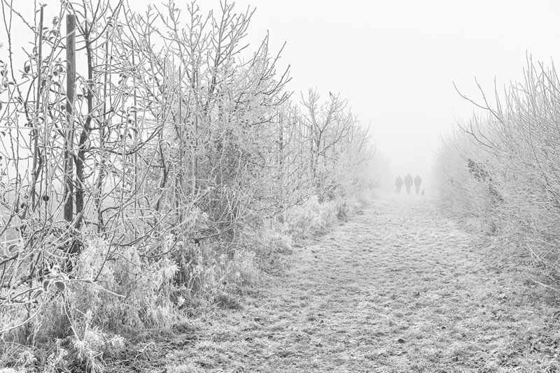 Garden Photographer Of The Year Awards