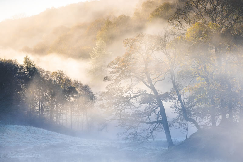 Garden Photographer Of The Year Awards