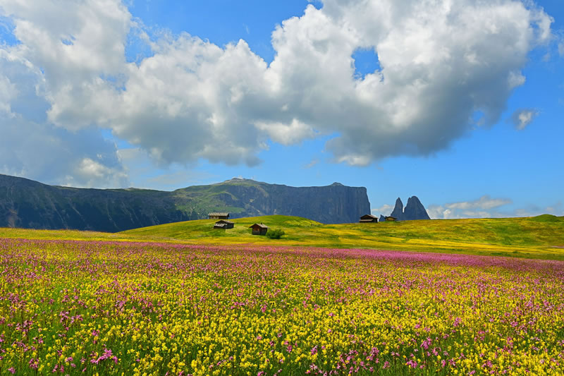 Garden Photographer Of The Year Awards