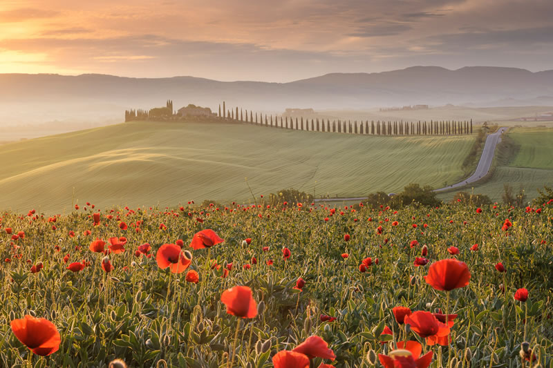 Garden Photographer Of The Year Awards