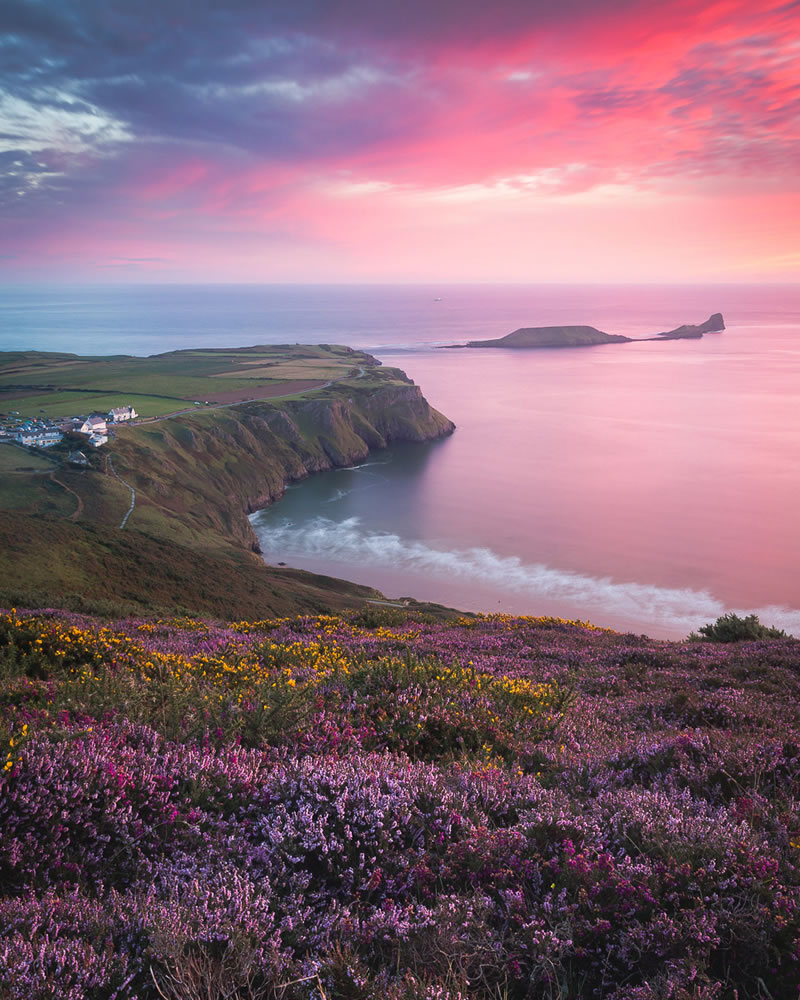 Garden Photographer Of The Year Awards