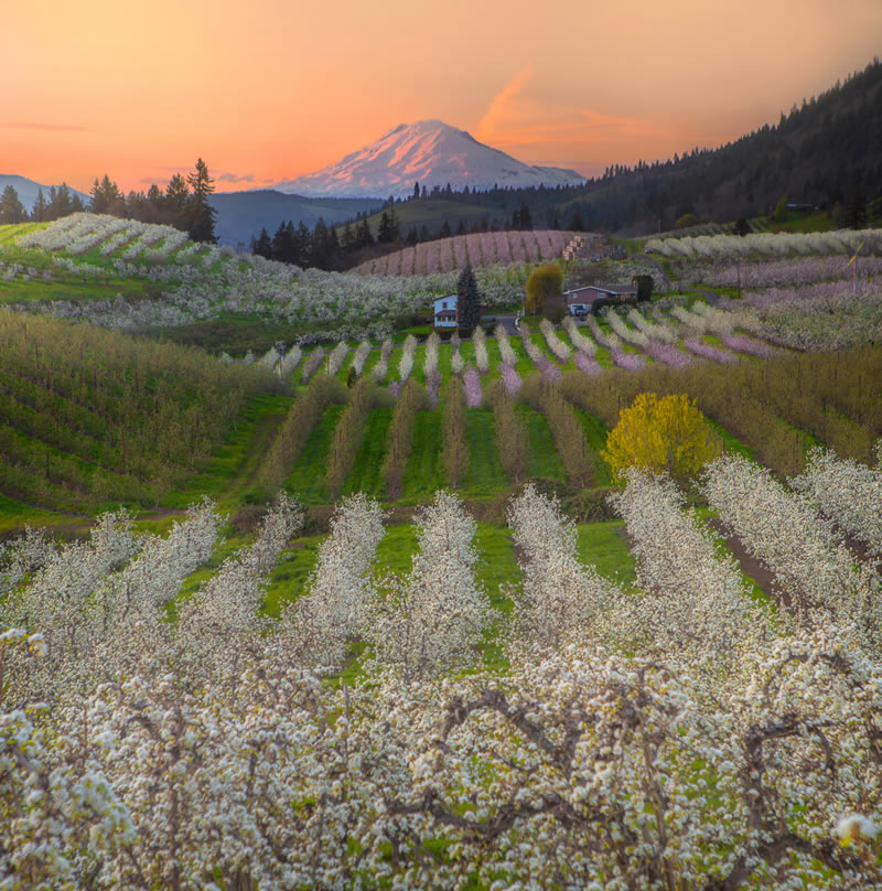 Landscape Winning Photos From Garden Photographer Of The Year 