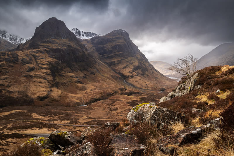 Landscape Winning Photos From Garden Photographer Of The Year 