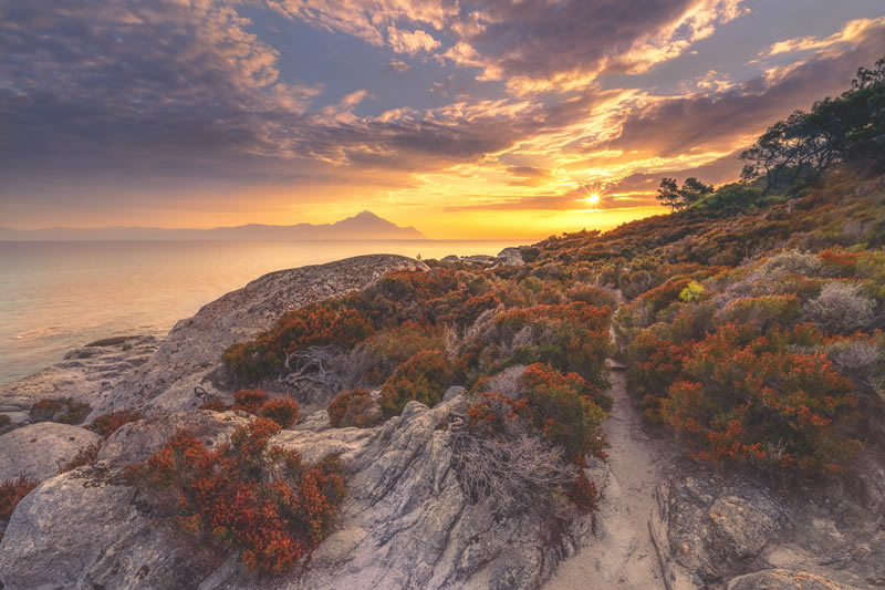 Landscape Winning Photos From Garden Photographer Of The Year 