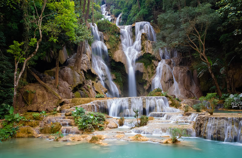 Landscape Winning Photos From Garden Photographer Of The Year 