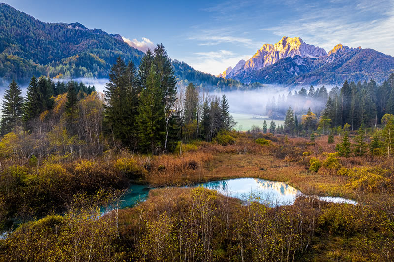 Landscape Winning Photos From Garden Photographer Of The Year 