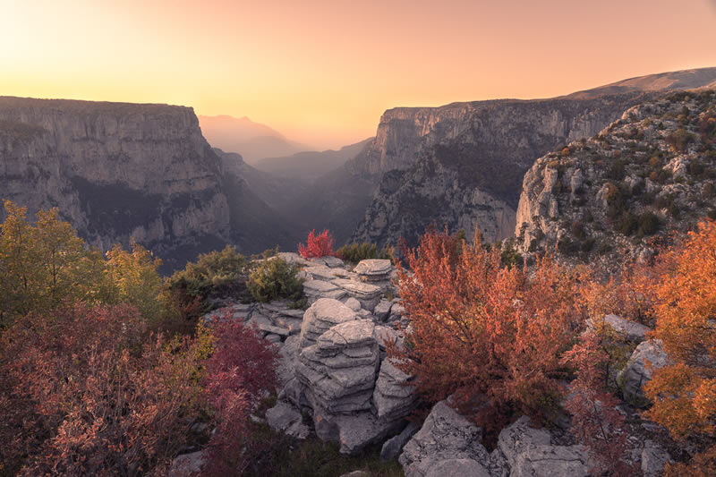 Landscape Winning Photos From Garden Photographer Of The Year 