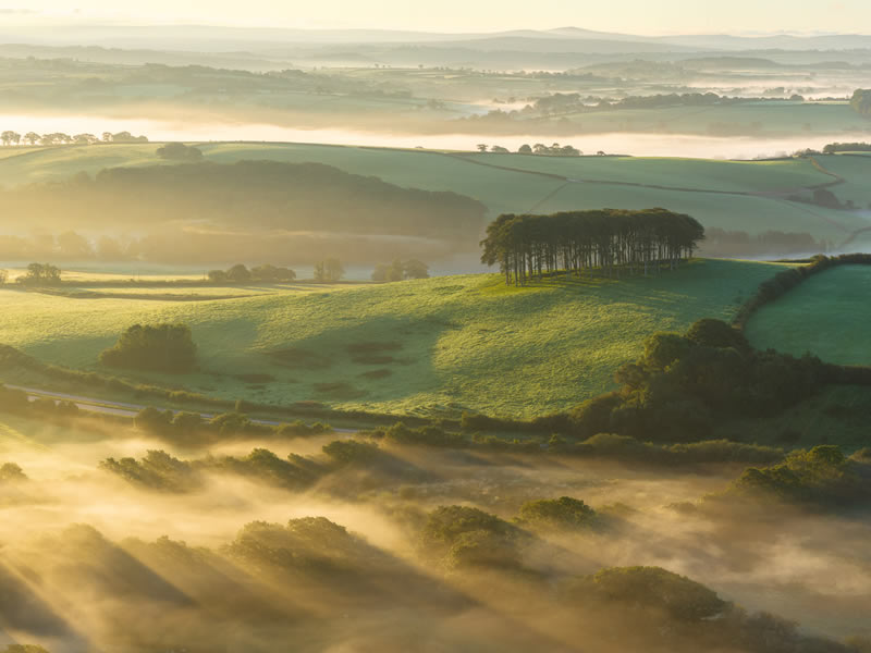 Landscape Winning Photos From Garden Photographer Of The Year 