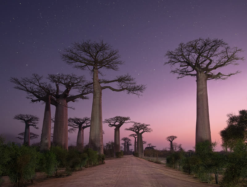 Landscape Winning Photos From Garden Photographer Of The Year 