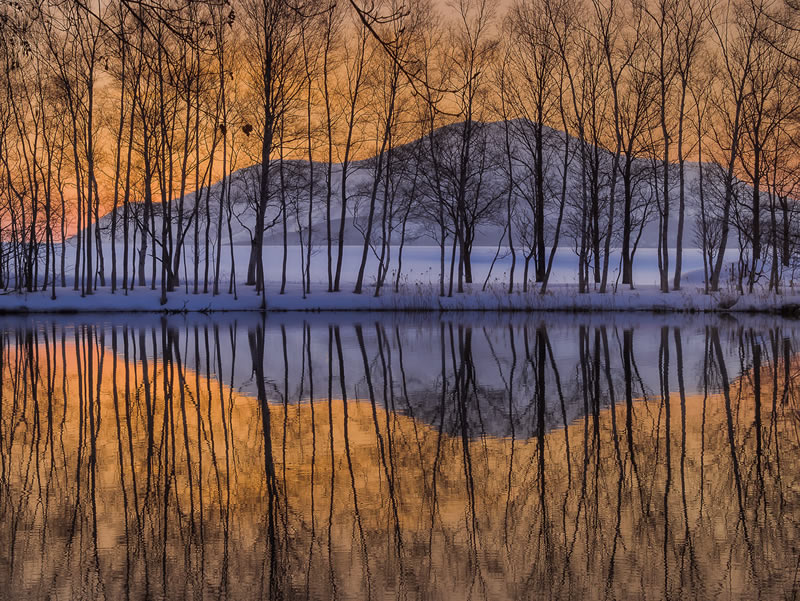 Landscape Winning Photos From Garden Photographer Of The Year 