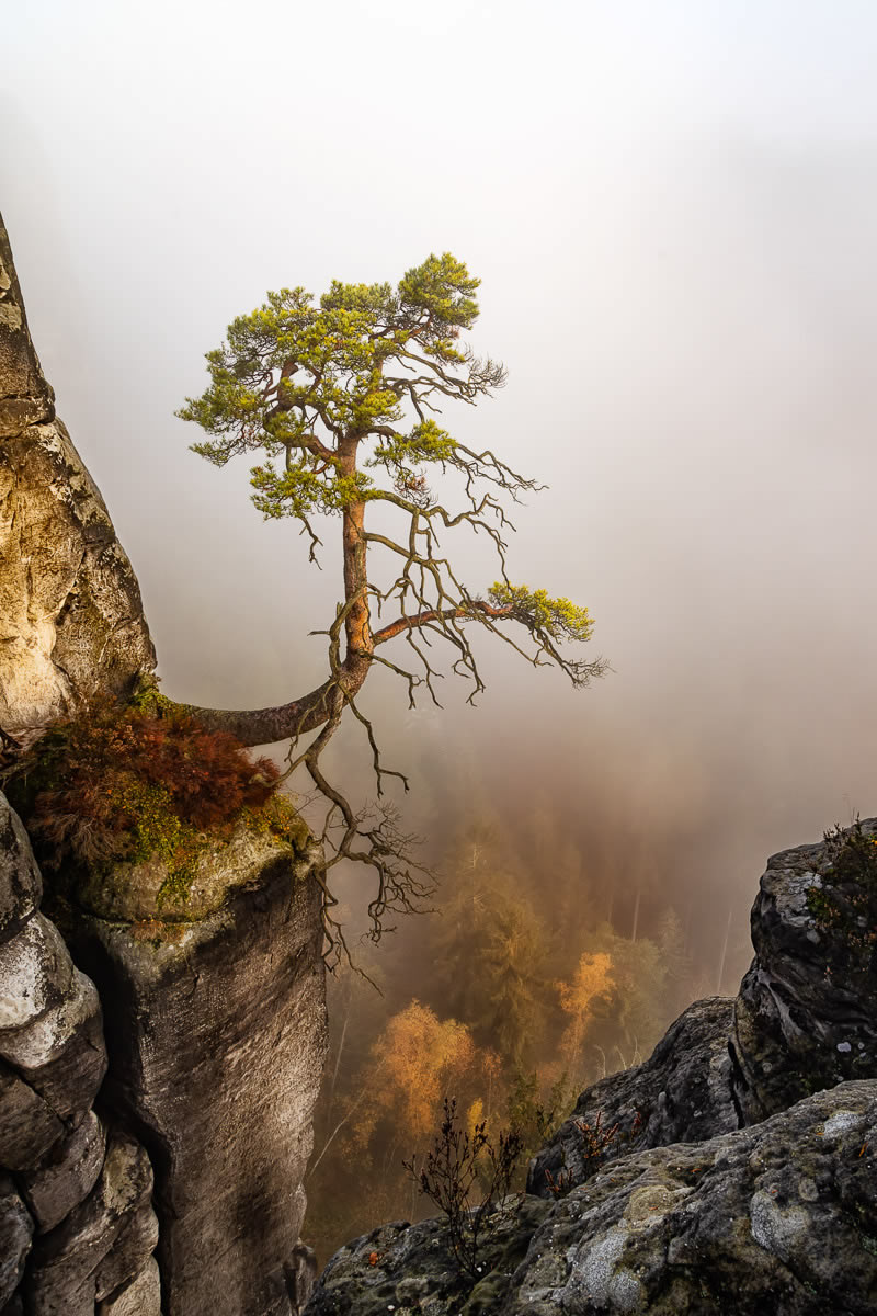 Landscape Winning Photos From Garden Photographer Of The Year 