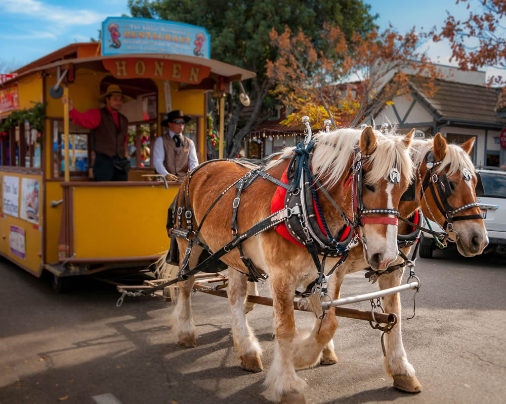 Gurushots Street Photography Challenge Winners