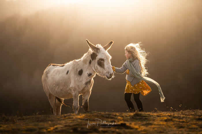 Beautiful Bond Between Kids and Animals