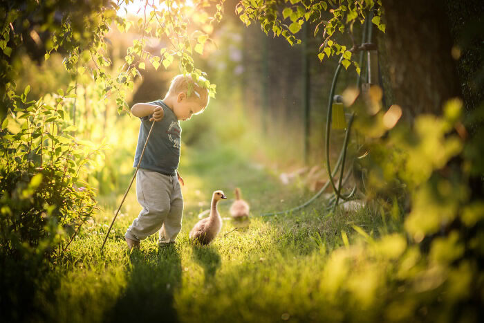 Beautiful Bond Between Kids and Animals