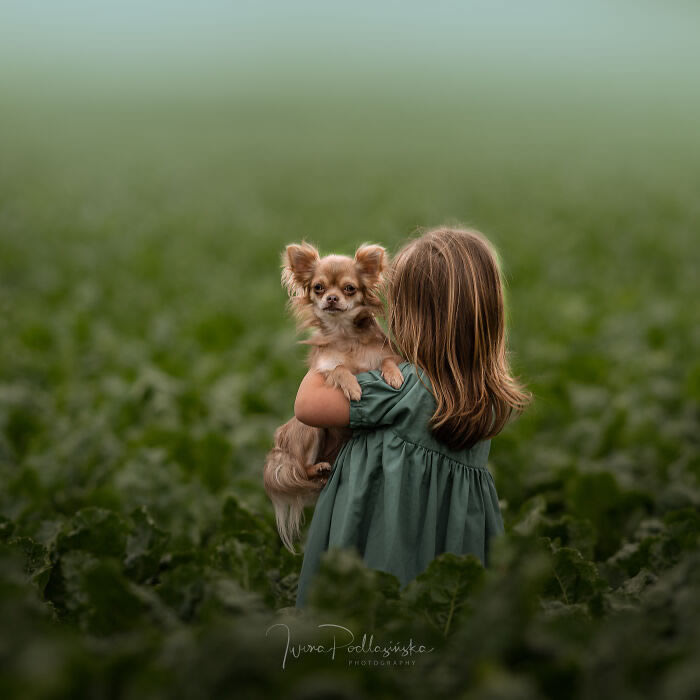 Beautiful Bond Between Kids and Animals