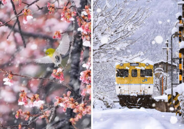 Landscape Photos Of Japan by Sorakata Photo