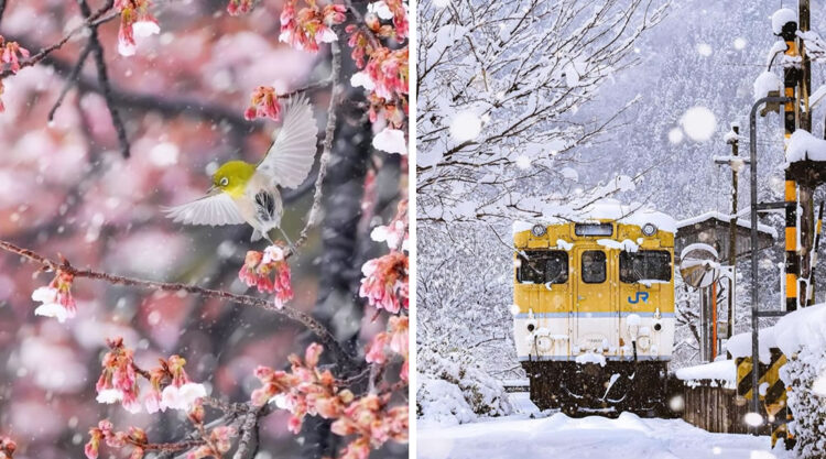 Landscape Photos Of Japan by Sorakata Photo