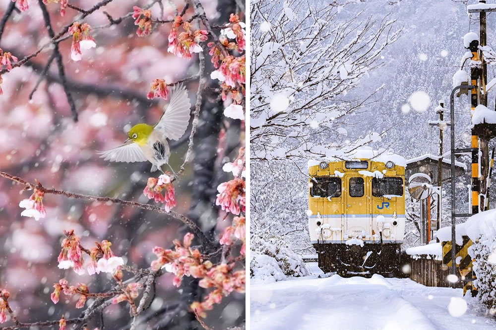 Landscape Photos Of Japan by Sorakata Photo