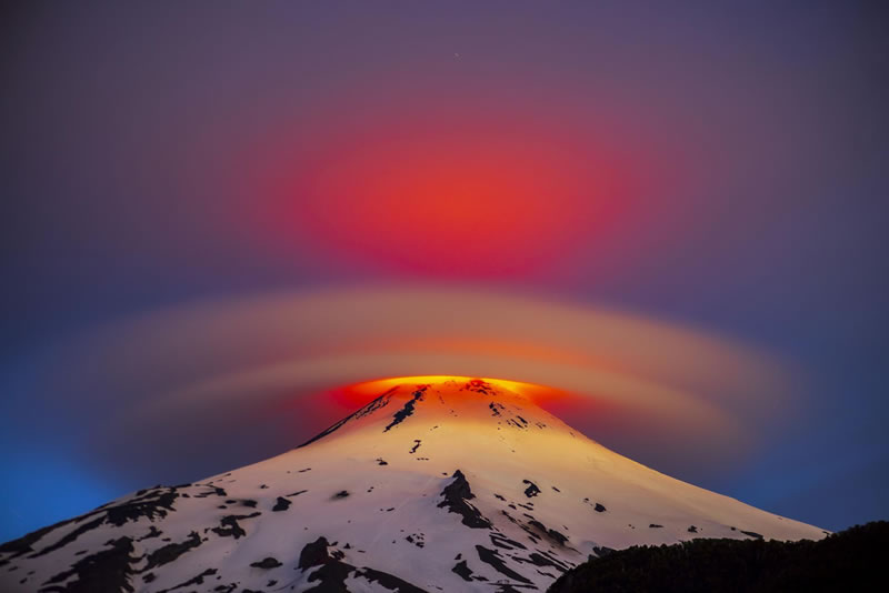 London Photography Nature Awards