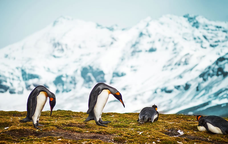 London Photography Nature Awards