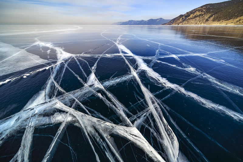 London Photography Nature Awards